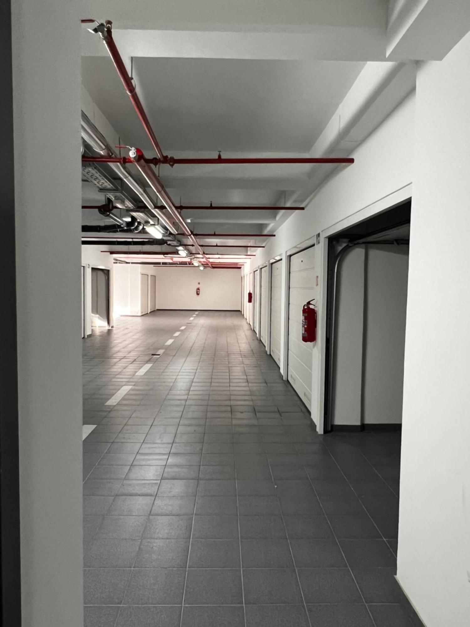 Marsonia Zagreb